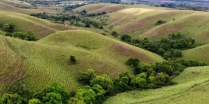 1003430217 Bukit Lendongara (LDR) di Sumba Barat Daya