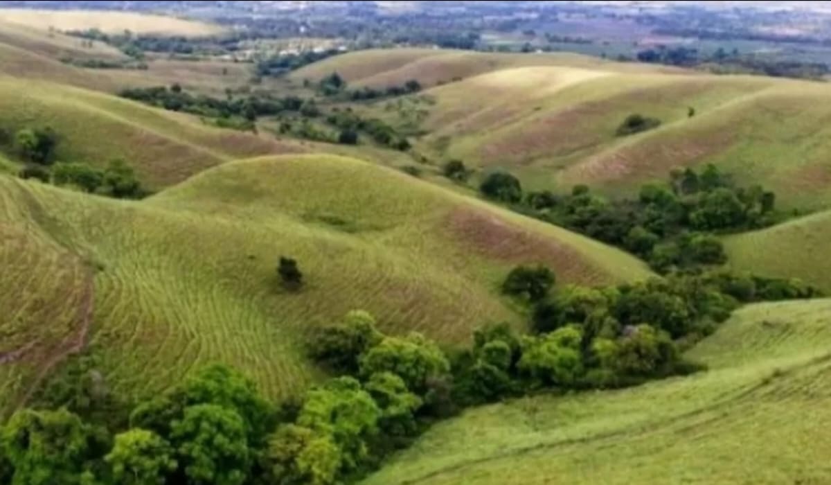 Bukit Lendongara (LDR) di Sumba Barat Daya