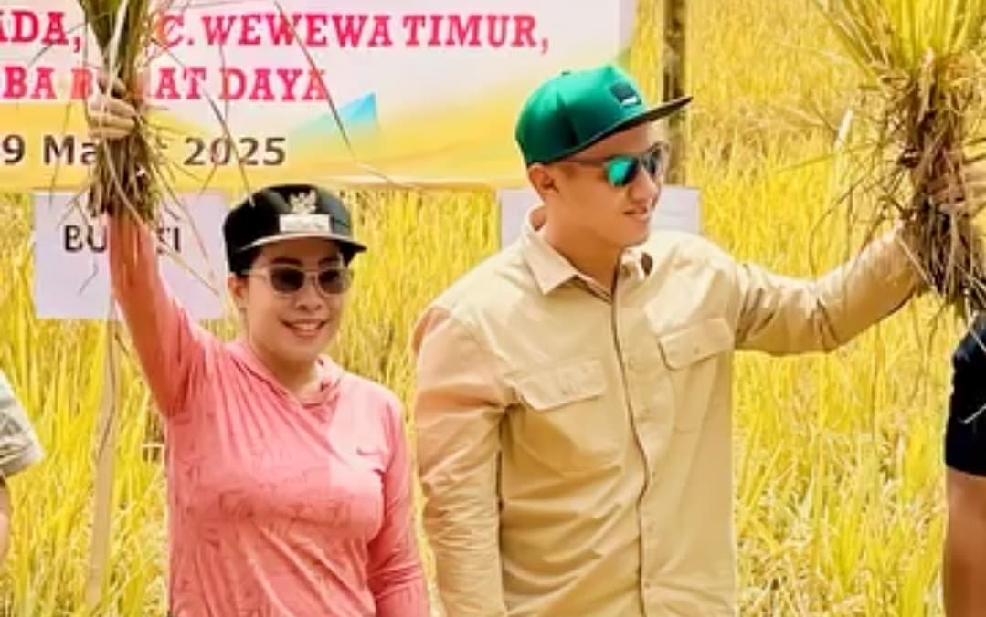 Wakil Bupati (Wabup) Sumba Barat Daya (SBD), Dominikus Alphawan Rangga Kaka